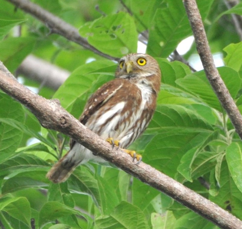 DSC_0320b.jpg
