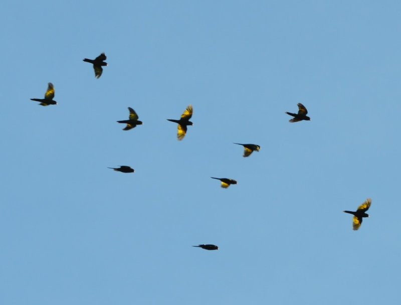 DSC_0208b.jpg