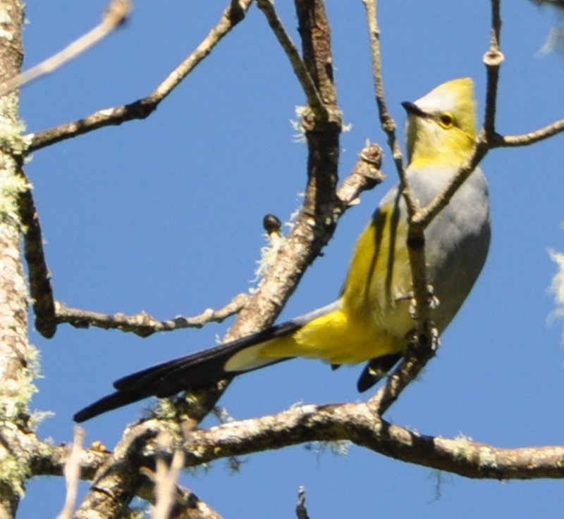 DSC_0308b.jpg