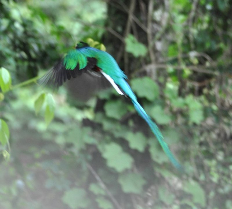 DSC_0771b.jpg