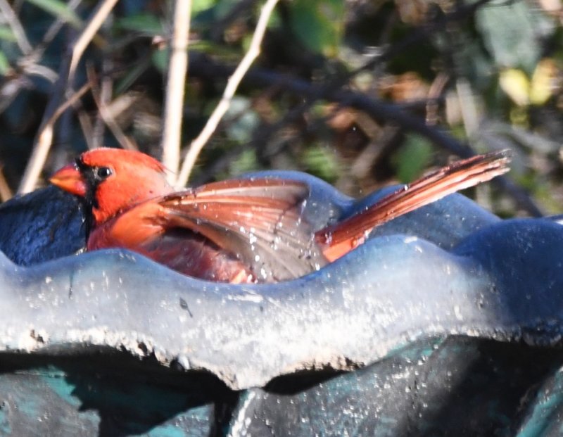 DSC_6314b.jpg