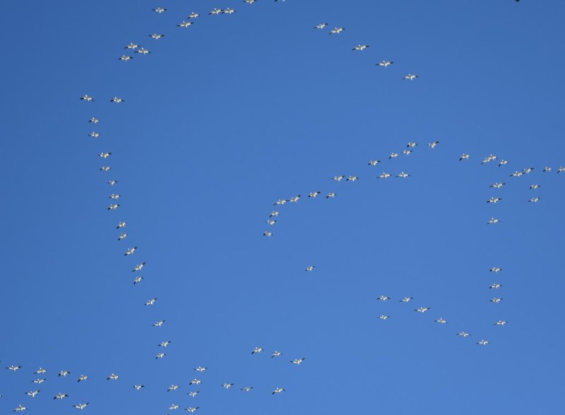 DSC_1707b.jpg
