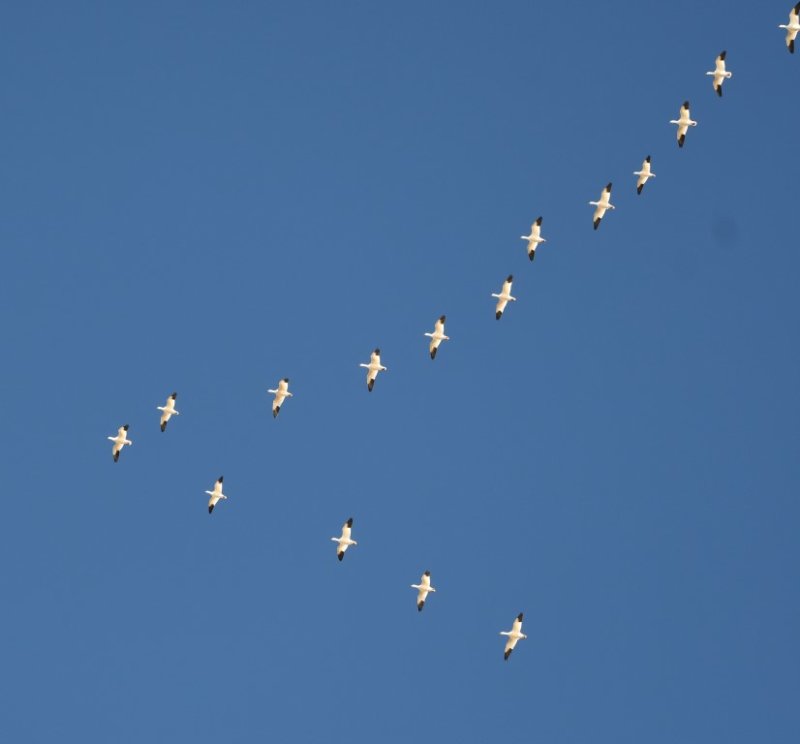DSC_1791b.jpg