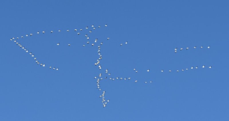 DSC_1802b.jpg