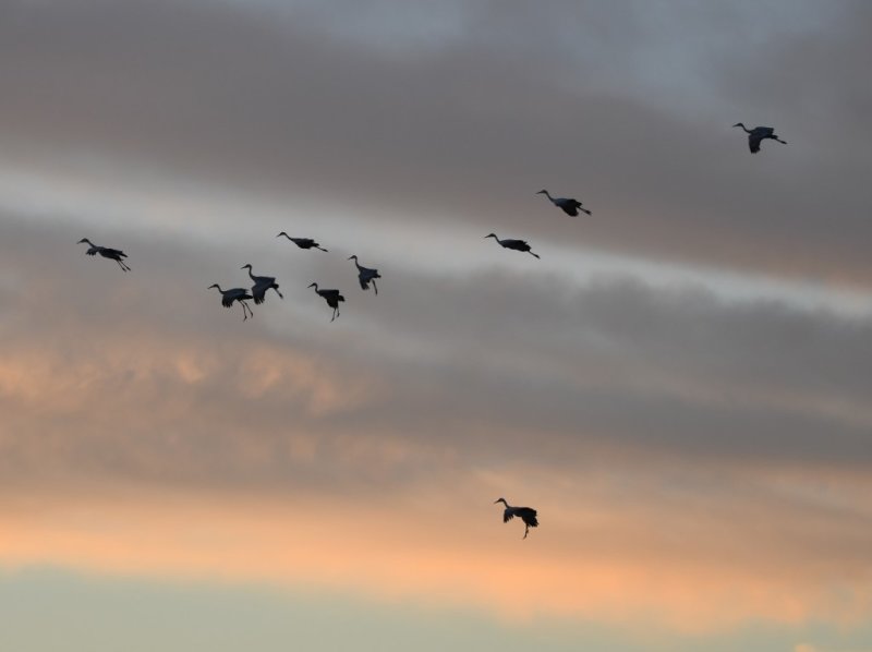 DSC_2133b.jpg