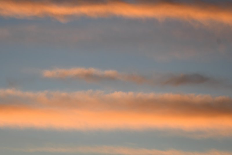 DSC_2145b.jpg