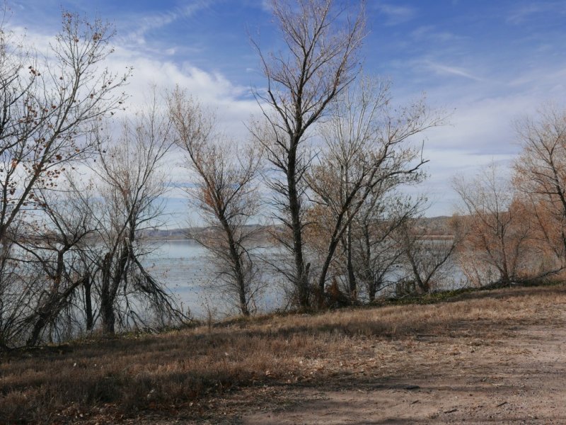 P1030829b.jpg