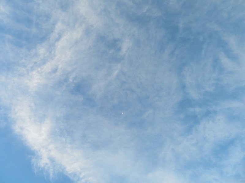 IMG_2000b.jpg