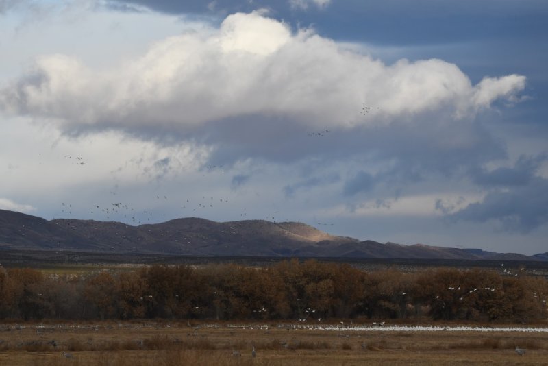 DSC_4247b.jpg