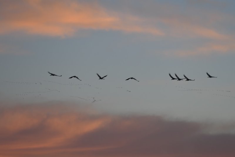 DSC_5046b.jpg