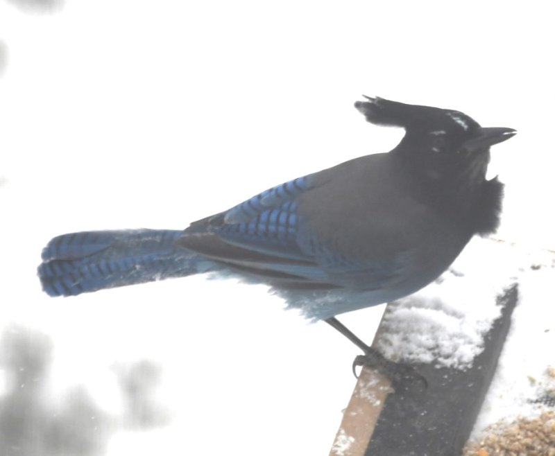 DSC_5857b.jpg
