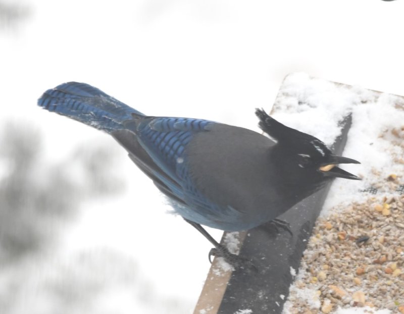 DSC_5860b.jpg
