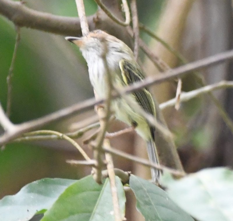 DSC_6551b.jpg