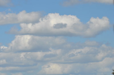 Clouds over Mountain Pine Ridge Reserve