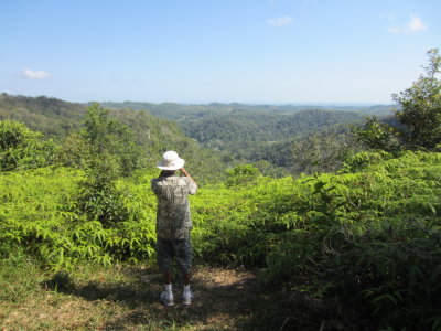 Kannan scanning the skies for hawks and vultures
at the Slate Creek overlook
Mountain Pine Ridge Reserve, Belize, C.A.