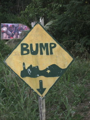 Belize has a lot of speed bumps to slow drivers. Between San Ignacio and Crystal Paradise Resort they have these signs announcing speed bumps which they call Sleeping Policemen--in this case, a woman police officer.