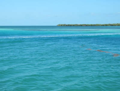 The Split, Caye Caulker, Belize, C.A.