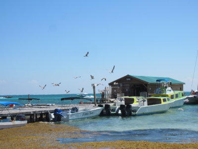 Ferry station
Caye Caulker, Belize, C.A.