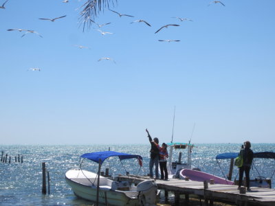 Kannan and Gretta try attracting birds by holding up fish