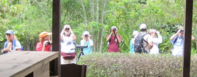 Some of our group focusing on some of the many birds:
Dru, Deb, Kim, Wendy, Kannan, Jane, Esteban, Karen and Bob