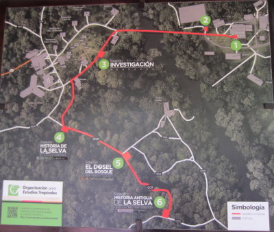 Map of the La Selva Biological Station
Some of our group stayed near the dining hall
while the rest of were stationed at Point #6
(but Felix picked us up in the bus each morning).