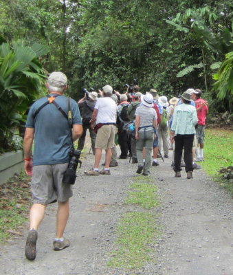 For our after-breakfast walk, we had two guides
from the biological station, Octavio (Tavo) and Jorge.