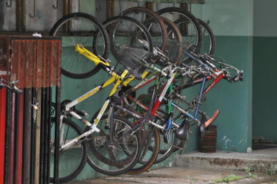 Bicycles used by staff to get around on the 
La Selva Biological Station grounds