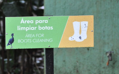 Boot cleaning station
for the workers at La Selva Biological Research Station