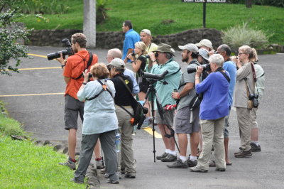 Our group has something cornered:
Mitchell, Mary, David, Betsy, folks from another group, Bob, Esteban, Joanie, Kim (in back), Jane, Karen, Carolyn