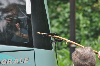 Kim shows the folks on the bus the Ebony Keel-back Snake.