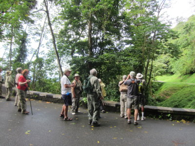 Our group on the Main Ridge Reserve road