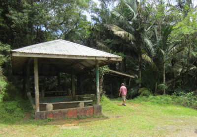 A shelter on the Main Ridge Reserve road
