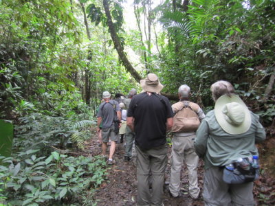 A group on the trail in Main Ridge Reserve, Tobago, TT