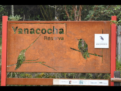 We took photos of the sign as we were leaving.
It has cut-outs of the Sword-billed Hummingbird
and the Jocotoco Antipitta, discovered here in 1998.