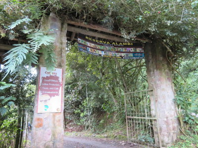 Entrance to Reserva Alambi
We spent the end of the day watching
hummingbirds, tanagers and others come to feeders here