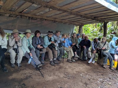 We situated ourselves, along with a group of folks from Canada,
to watch birds coming to a feeding station where plaintains had been placed. 