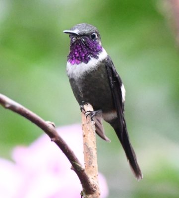 DSC_3878b.jpg