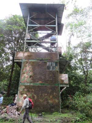 We walked from the parking lot to this observation tower and up 5-6 flights of stairs.
We were more than 60 feet in the air and looking into the tops of the trees. 
