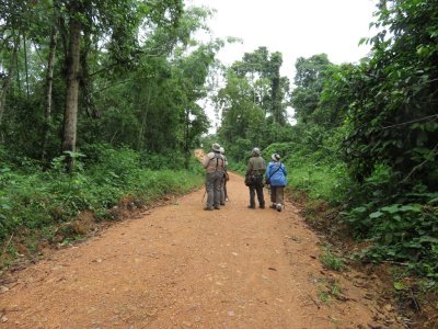Some of our group along the road
near Rio Silanche Bird Sanctuary
After a break for some hard-boiled eggs
and apples, we took a walk down the road
just outside the Rio Silanche Reserve.