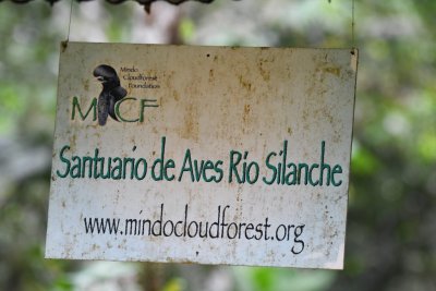 We got up early (as usual) and went to Rio Silanche Bird Sanctuary, Pichancha, Ecuador.