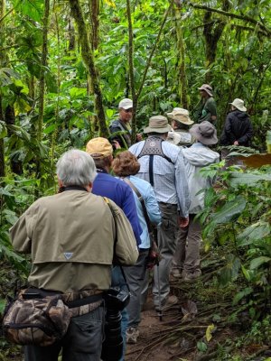 We took a hike along one of the paths in the Milpe Bird Sanctuary