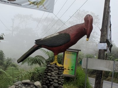 At the highway, we notice this giant sculpture of a Cock-on-the-Rock.