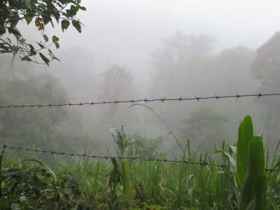 The view looking out into the fields along the road