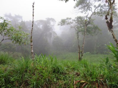 View along the road to Milpe
