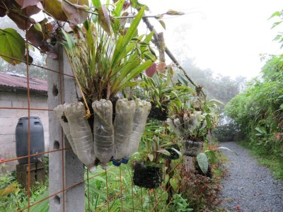 On our walk down to the birdwatching area
we noticed some of their efforts to recycle materials,
using plastic drink bottles to create planters.