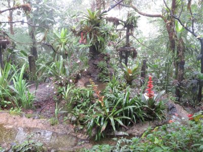 The bird viewing area at San Tadeo Birdwatching feeders