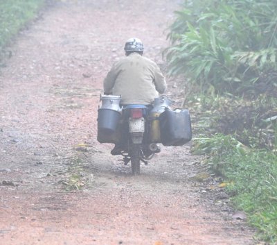 Local mild delivery