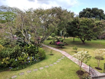 Another section of the large grounds at Bougainvillea Hotel, San Jose, CR