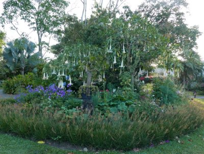 We took another walk around the grounds at Bougainvillea Hotel before having breakfast and checking out.
