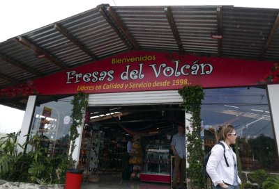 Fresas del Volcán (#3, according to Google maps and eBird)
Strawberries of the (Poás) Volcano, where we stopped for
bathrooms, drinks and souvenirs